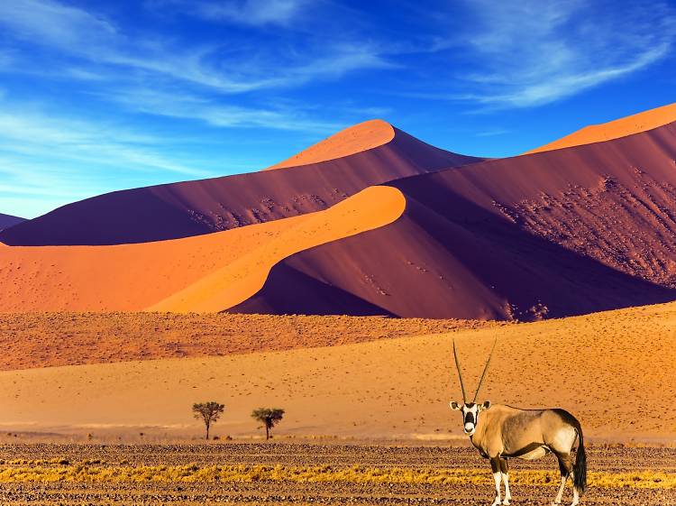 9.  Namibia Namibia ngày càng trở nên phổ biến như một điểm đến kể từ khi Hoàng tử Harry và Meghan Markle dành tuần trăng mật ở đó vào năm ngoái và sự bùng nổ về đặt phòng đã làm dấy lên một loạt các nhà nghỉ mới mở. Một số nơi tốt nhất đang tận dụng tối đa cơ hội ngắm sao của đất nước trong và xung quanh Khu bảo tồn Bầu trời Tối Quốc tế duy nhất của Châu Phi (chẳng hạn như Nhà nghỉ sa mạc đẹp & Beyond Sossusvlei, với một nhà thiên văn học thường trú và Cồn cát Kwessi, với các phòng ngắm sao có mái che ở mỗi của nhà gỗ). Bạn cũng có thể cắm trại trong khu bảo tồn, nhưng hãy đặt trước vì không gian hạn chế có xu hướng lấp đầy nhanh chóng.