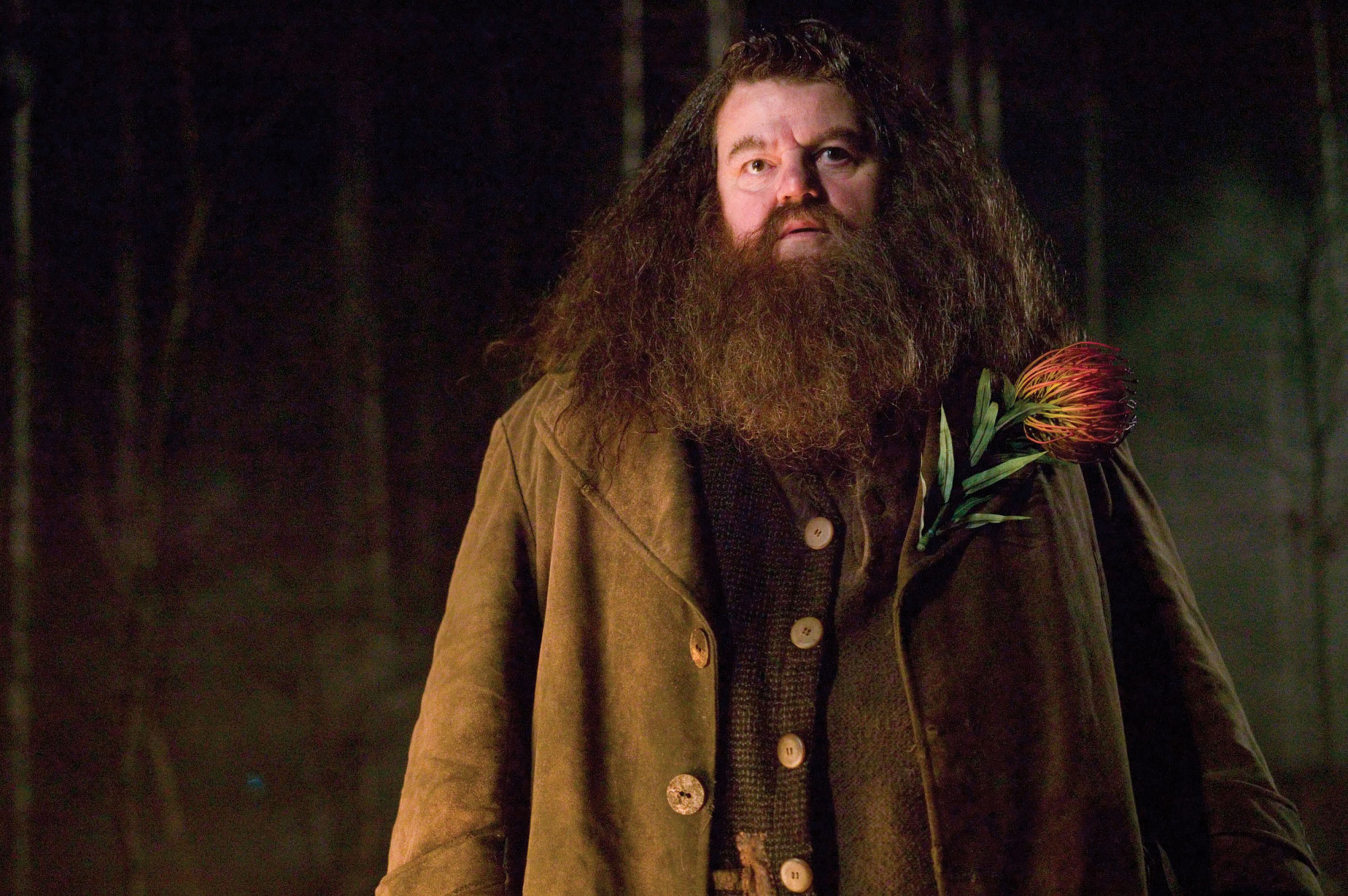 Robbie Coltrane đóng vai người khổng lồ Rubeus Hagrid 