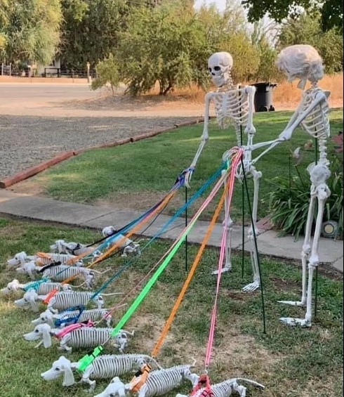 Tôi có một khúc xương để chọn với bạn! Một chủ nhà rất sáng tạo đã trang trí bãi cỏ của họ với một vài bộ xương dắt chó đi dạo 