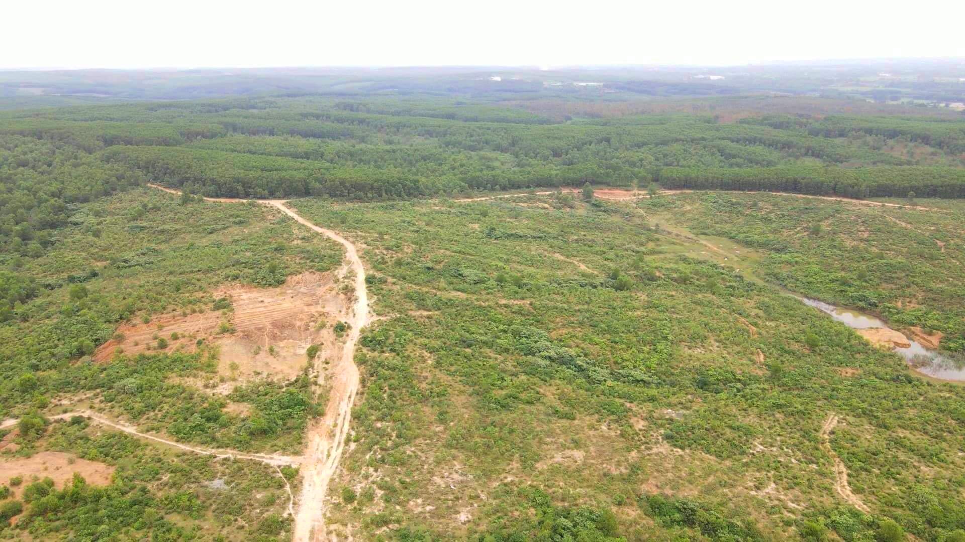 Dự án được thực hiện trên diện tích khoảng 200 ha tại tiểu khu 764 và 765 thuộc xã Cam Tuyền H.Cam Lộ, tỉnh Quảng Trị. Ảnh: L.T