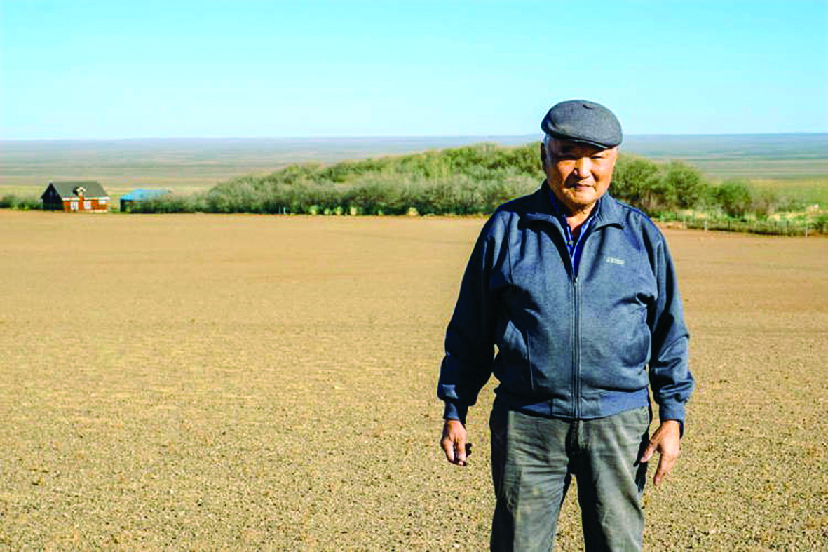 Người đàn ông dành những năm tháng cuối đời  để trồng một ốc đảo xanh tươi giữa sa mạc - ẢNH: ODD