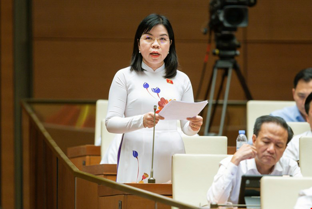 Đại biểu Quốc hội Nguyễn Thị Ngọc Xuân cho rằng cần hoàn thiện kịp thời các cơ chế thu hút, đãi ngộ nhân tài, đặc biệt là các chuyên gia, các nhà lãnh đạo quản lý các cấp
