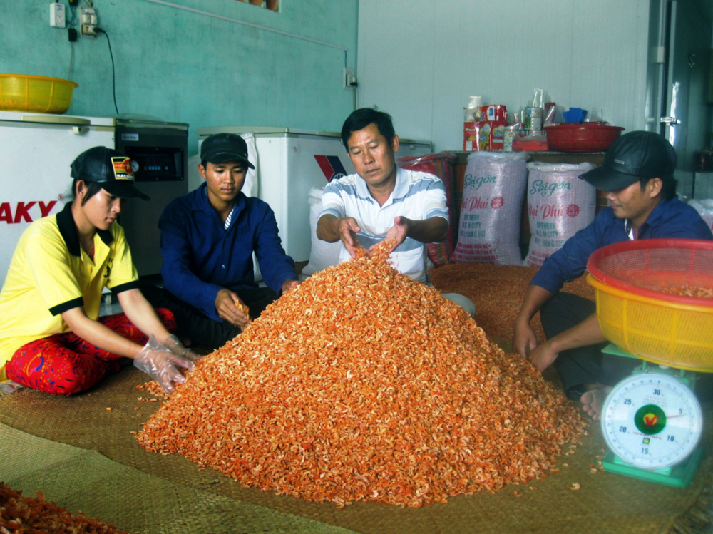 Các làng nghề chế biến tôm ở vùng đồng bằng sông Cửu Long tăng cường sản xuất hàng phục vụ tết - ẢNH: H.T
