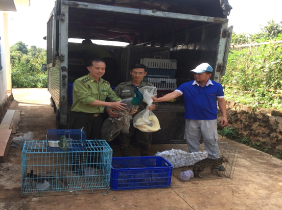 Nhiều động vật hoang dã quý hiếm được Chi cục Kiểm lâm TPHCM thả về rừng Bù Gia Mập.