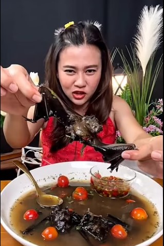 Hình ảnh ăn súp thịt dơi của blogger Thái Lan khiến dư luận dậy sóng