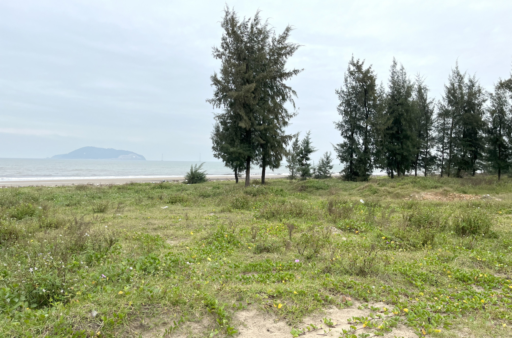 Hơn 15ha ven biển Cửa Lò vẫn là bãi đất hoang - Ảnh: Phan Ngọc