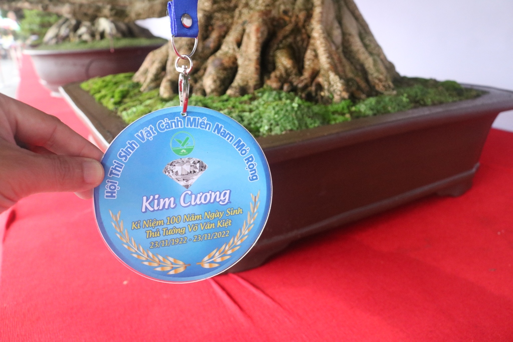 Tác phẩm bonsai đạt giải Kim cương tại hội thi.