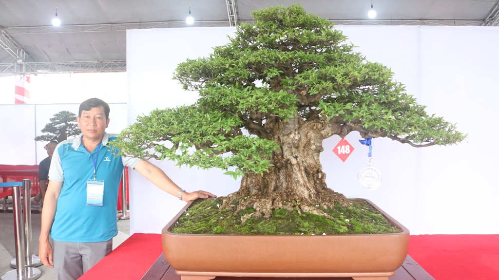 Tác phẩm bonsai đạt giải Bạc tại hội thi.