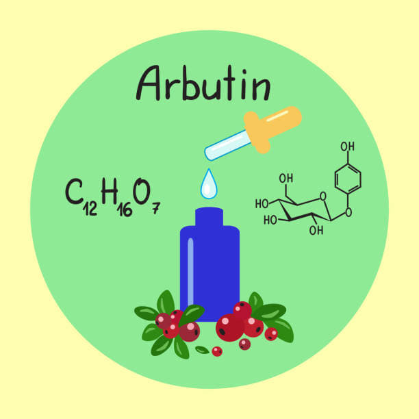 Arbutin: Có trong sữa kem rửa mặt, tẩy tế bào chết và kem dưỡng ẩm giúp ức chế enzyme sản sinh ra melanin trong tế bào, khá lành tính và không đem lại các tác dụng phụ. Ngoài tác dụng làm trắng da thì Arbutin còn có thể giúp da chống lão hoá, ngăn chặn các gốc tự do.