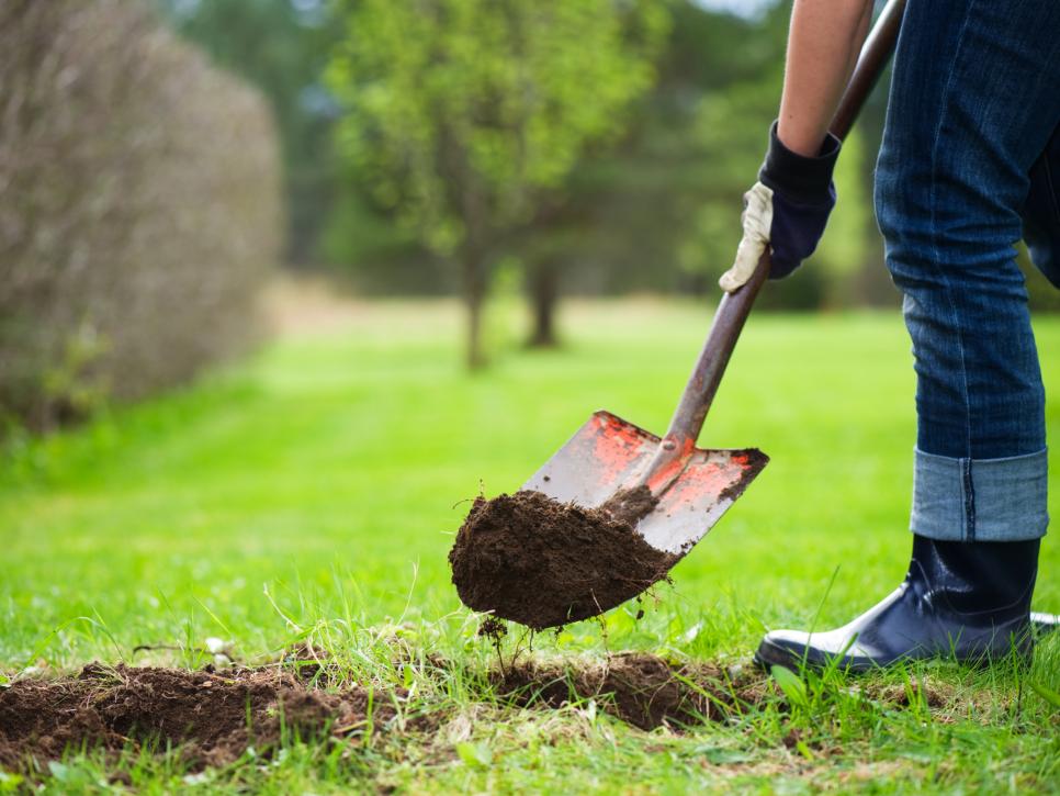 : Trồng quá sâu Một trong những cách nhanh nhất để giết chết một cái cây là trồng nó quá xa trên mặt đất. Một số người cho rằng họ có thể phủ càng nhiều đất xung quanh nó thì càng tốt. Nhưng làm như vậy thực sự có thể làm cây ngạt thở vì không có không khí đi đến hệ thống rễ. Đi quá sâu cũng có thể khuyến khích thối rễ.