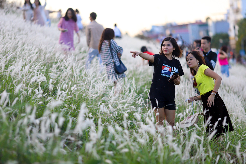Khung cảnh đông đúc, nhộn nhịp của triền đê ngập tràn cỏ lau ngay gần nội đô Hà Nội.