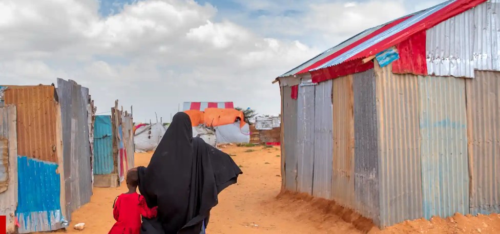 Năm ngoái, hai đứa cháu khác, hai và ba tuổi, chết vì bệnh sởi. Giống như bệnh viêm phổi, bệnh sởi đánh vào sự yếu ớt của trẻ suy dinh dưỡng. Xung quanh thị trấn Galkayo có 74 khu trại và trong khu trại này, nơi chứa hơn 10.000 người, trẻ em đang hấp hối. Tỷ lệ suy dinh dưỡng cấp tính đang ở mức 52% trong số trẻ em dưới 5 tuổi, cao nhất ở Somalia và khu vực này đang trên bờ vực của nạn đói .  Khi được hỏi cô ấy đã tham dự bao nhiêu đám tang trong năm nay, Gure lắc đầu: “Rất nhiều.”