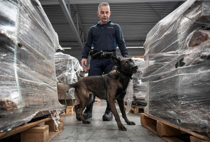 Một sĩ quan cảnh sát hải quan sử dụng chó nghiệp vụ để kiểm tra hàng hóa để tìm hàng hóa bất hợp pháp tại cảng Rotterdam, vào ngày 3 tháng 11 năm 2022. ẢNH: AFP