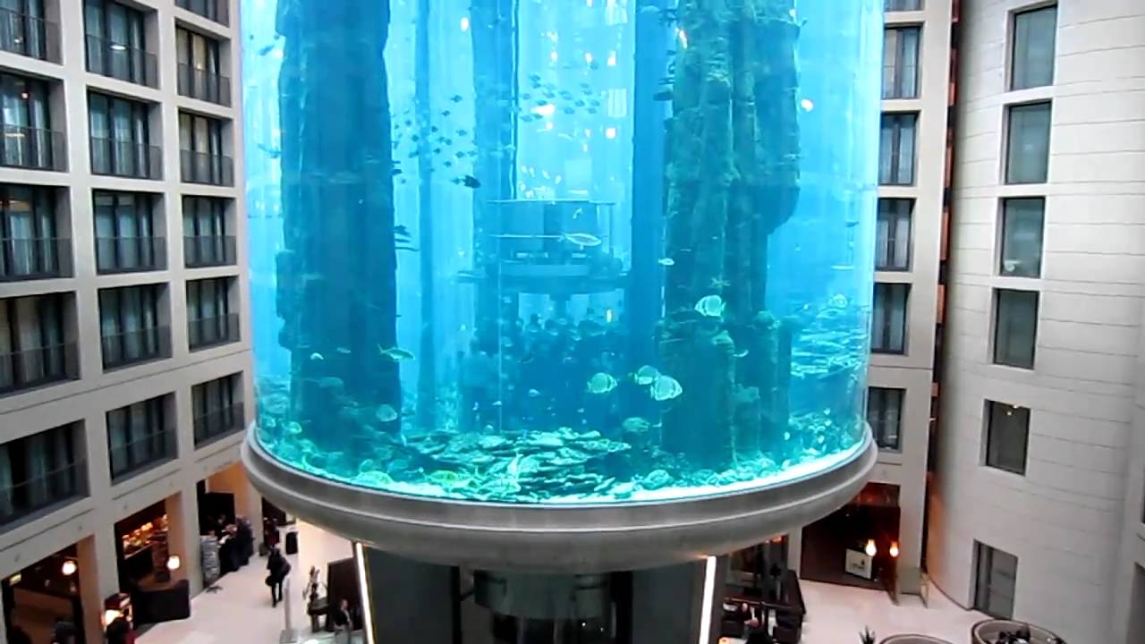 Chiếc bể khổng lồ tại Berlin chứa 1 triệu lít nước cùng 1.500 con cá bất ngờ vỡ nát vào sáng sớm