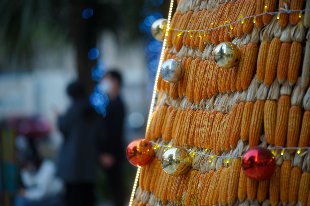 Ngoài nông sản mang đậm màu sắc dân tộc Việt Nam, cây thông còn được trang trí theo đúng màu sắc Noel với dây đèn sáng cùng các quả châu lung linh.