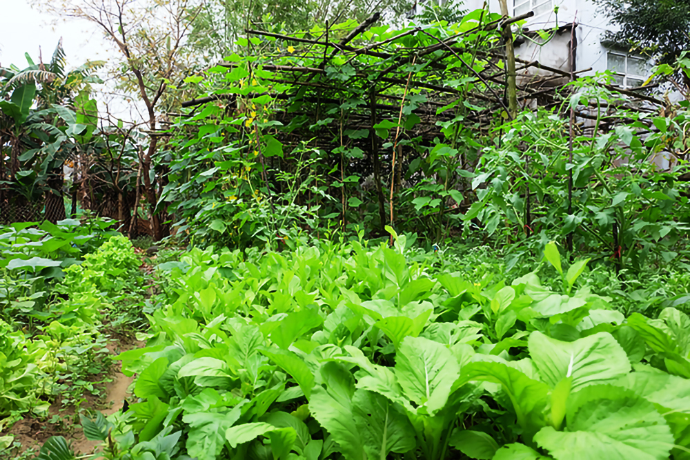 Ảnh mang tính minh họa - LĐ