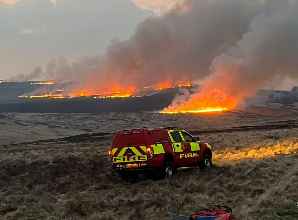 Một trận cháy rừng ở khu vực Vườn quốc gia Northumberland và rừng Kielder đã thiêu rụi khoảng 139 hecta - Ảnh: Northumberland Fire and Rescue Service