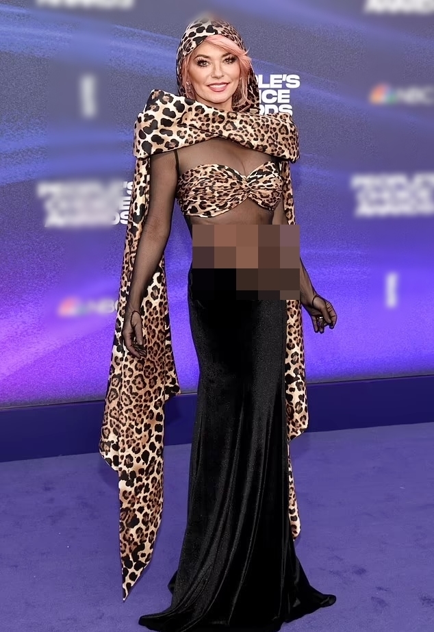 Danh ca nhạc đồng quê Shania Twain diện bộ váy áo họa tiết da báo với điểm nhấm là những đường cắt khoét táo bạo tại thảm đỏ People's Choice Awards 2022. Ở tuổi 57, phong cách này của Shania bị nhận xét không hợp với lứa tuổi, quá phô phang và phản cảm.