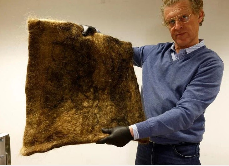 2  Patrick Janssen, người đồng sáng lập Dự án Tái chế Tóc, đang cầm một viên gạch làm từ tóc người tái chế được sử dụng để hấp thụ các chất hóa học gây ô nhiễm trong nước. ẢNH: REUTERS