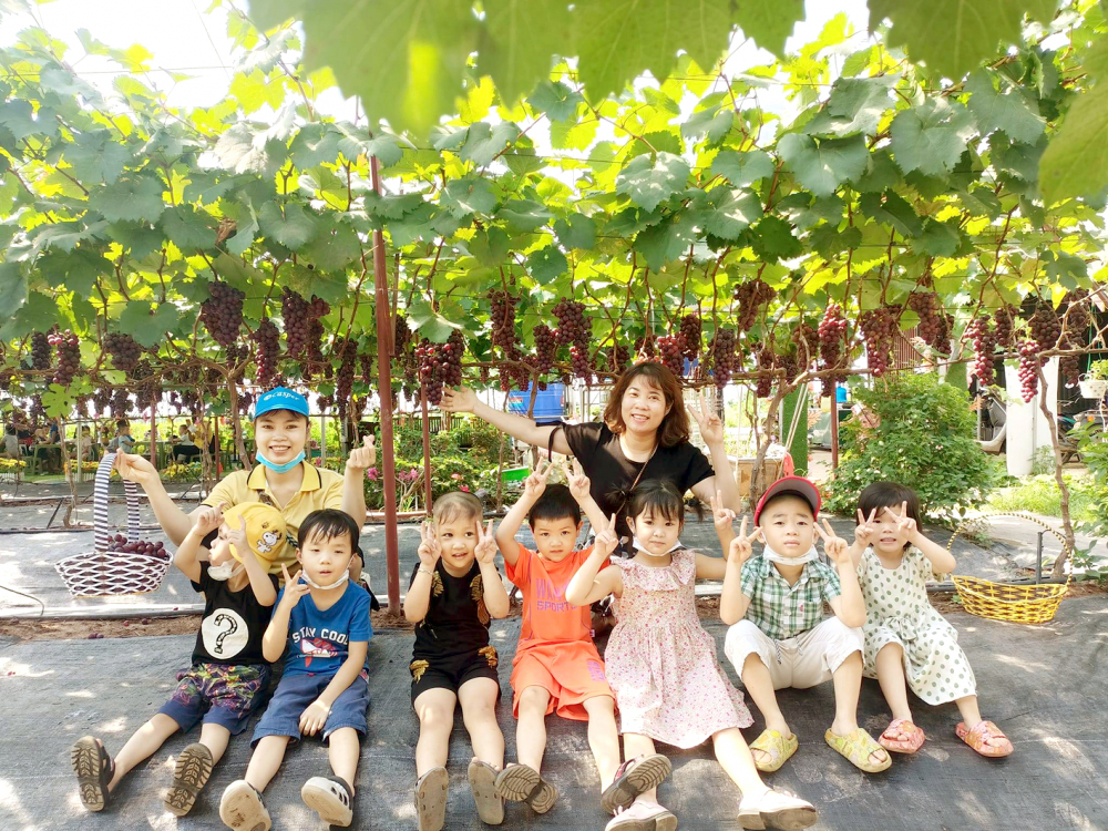 Vườn nho của ông Nguyễn Hữu Hợi cho doanh thu cao nhờ bán trái và phục vụ du khách đến tham quan, chụp hình