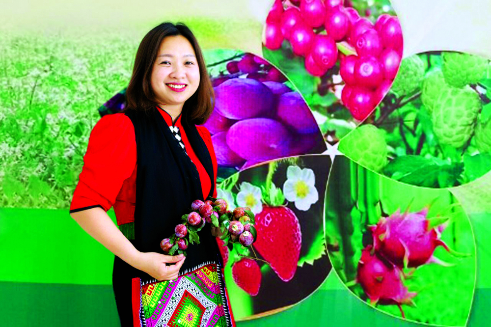 Bùi Phương Thanh tự hào giới thiệu sản phẩm mận Ruby chất lượng do chị và bà con địa phương quy hoạch trồng để tăng giá trị cho đặc sản mận hậu Sơn La