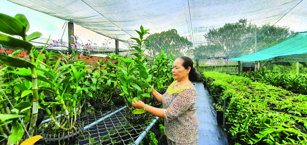 Bà Trần Thị Lan  dành thời gian chăm chút,  tỉa tót cho từng chậu hoa  trong vườn