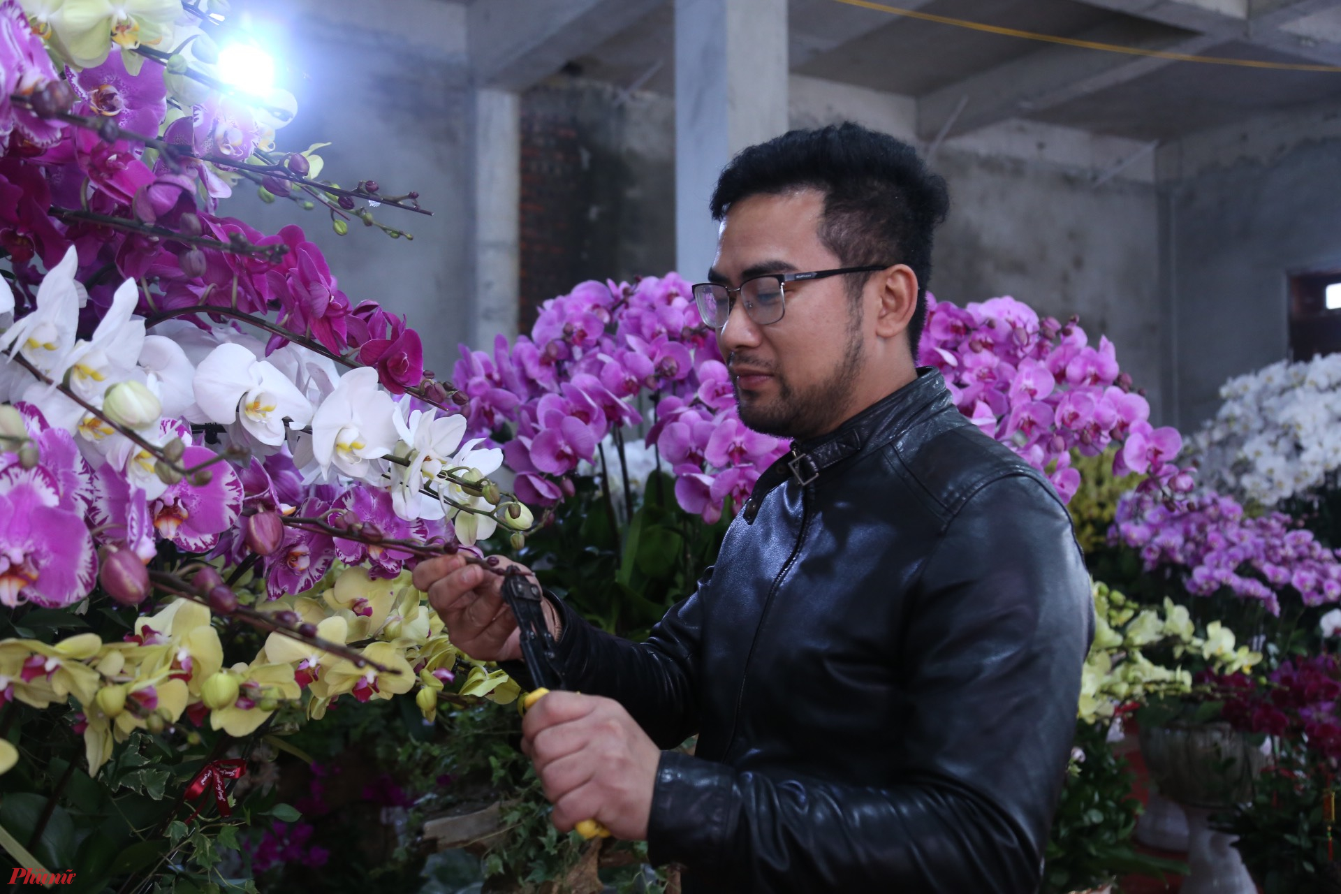 Anh Nguyễn Công Hà, chủ một shop hoa ở TP Vinh (Nghệ An) cho biết, nhu cầu chơi lan ngày tết ngày một nhiều. Để lên chậu hết hơn 15.000 bầu lan trong dịp tết này, anh phải thuê 3 thợ kết lan chính và 5 thợ phụ để thiết kế, tạo hình, cho lan vào chậu.