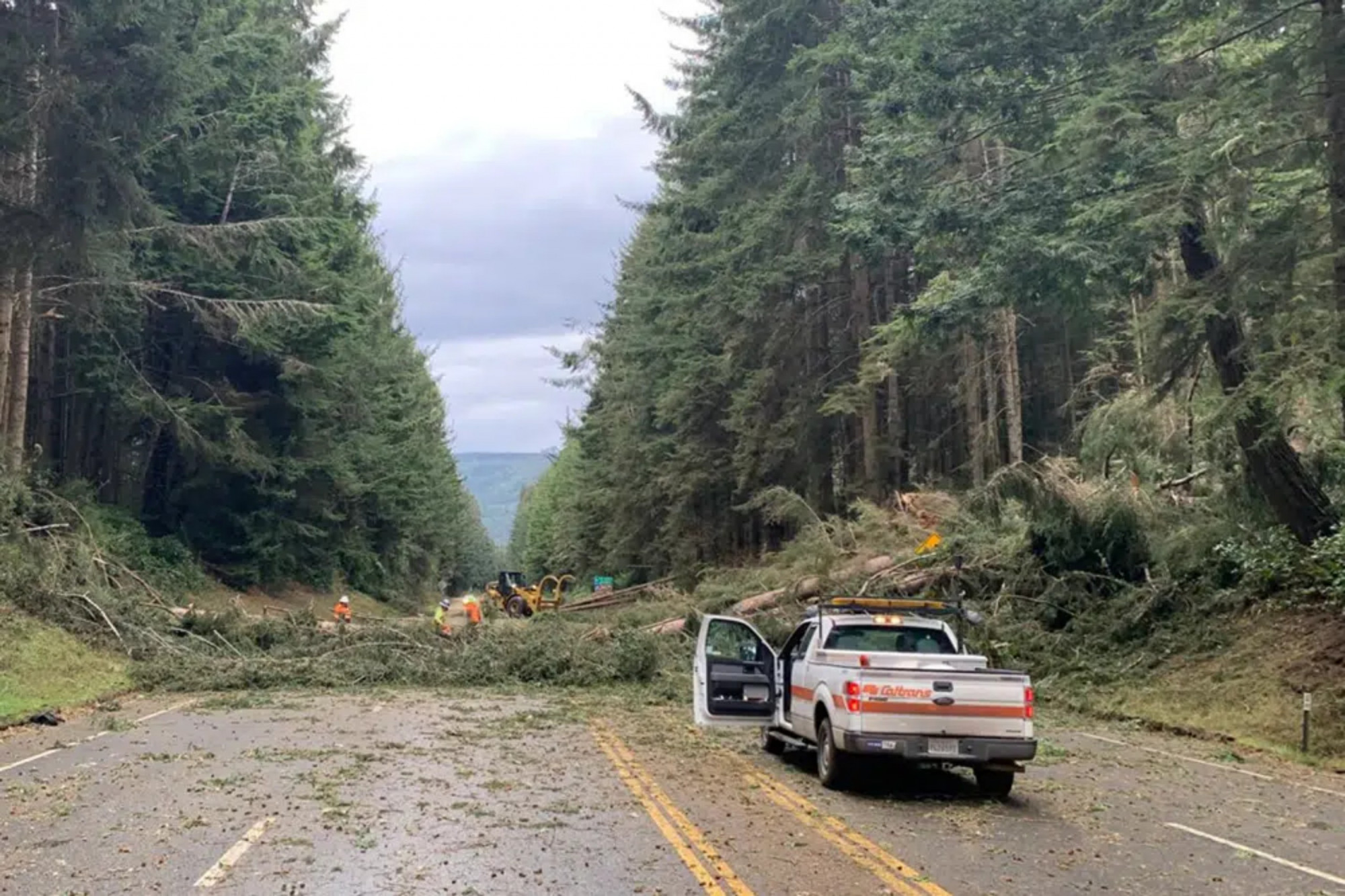 Nhiều con đường ở California bị hư hại và đóng cửa do ảnh hưởng của bão khiến hàng loạt cây cối ngã đổ.