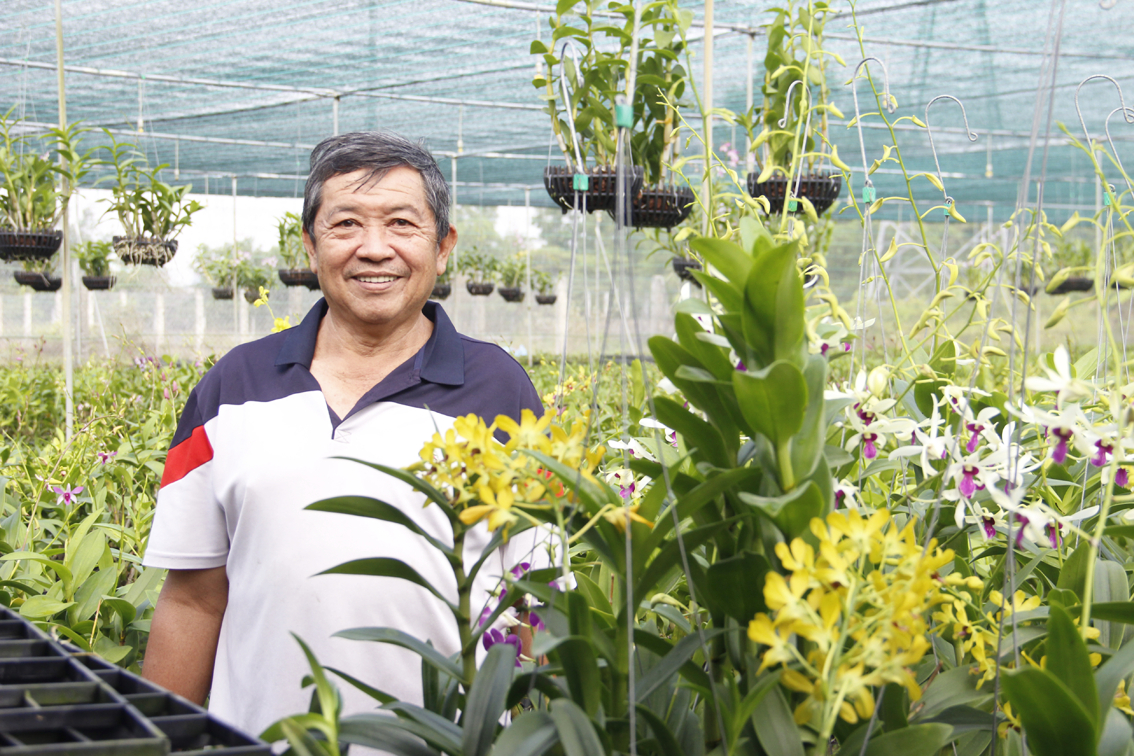 Ông Nguyễn Văn Thọ - nông dân trồng lan ở huyện Bình Chánh, TPHCM -  cho biết, khách đã đặt mua hoa lan trong khu vườn gần 8.000m2 của ông từ tháng 10/2022 để tiêu thụ dịp tết