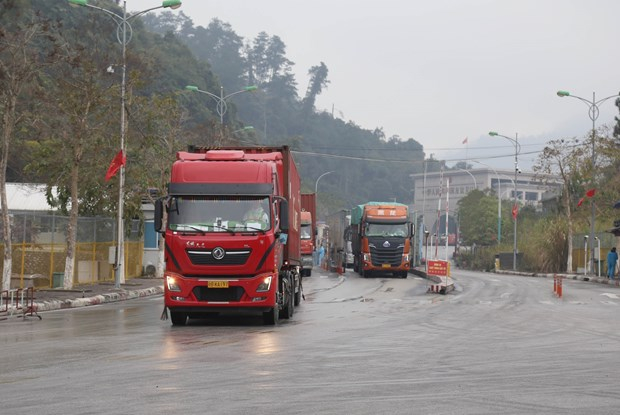 Phương tiện nhập cảnh vào Việt Nam qua cửa khẩu Quốc tế Hữu Nghị (Lạng Sơn) tuân thủ mọi quy định về kiểm dịch. (Ảnh: Quang Duy/TTXVN)