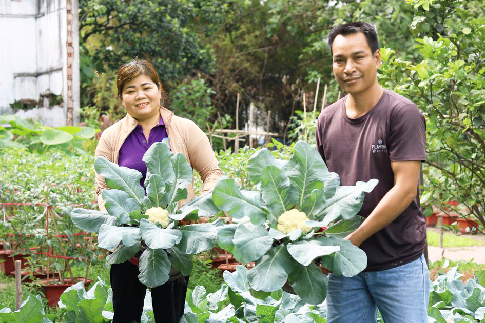 Chị Thu trồng nhiều bông cải trong khu “Vườn của xóm”