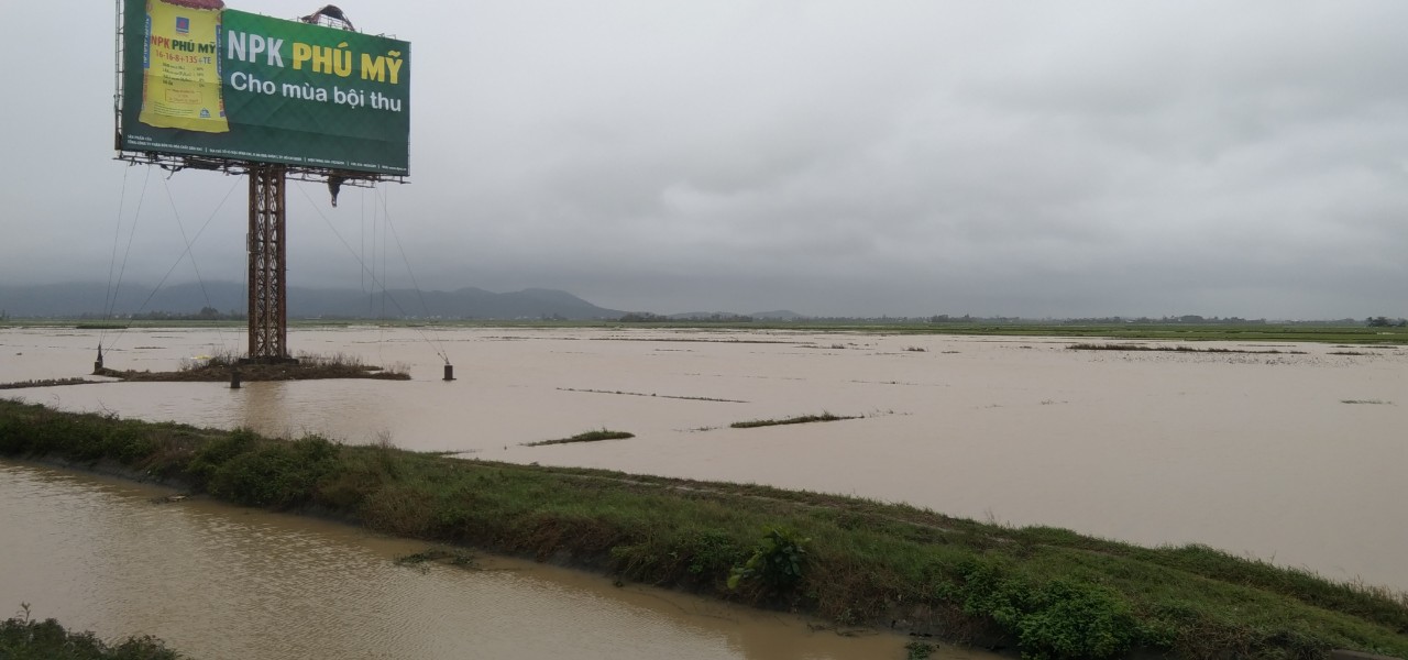 Cánh đồng rộng lớn ở thị xã Đông Hòa bin ngập lụt trái mùa