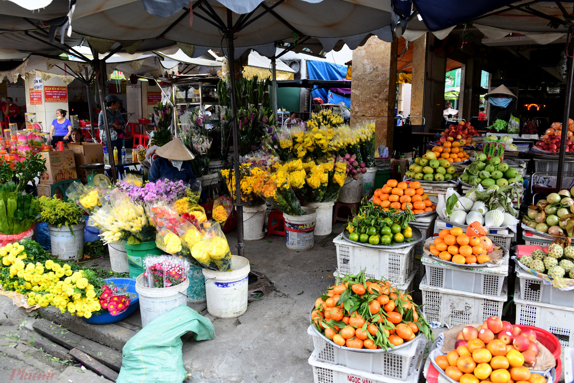 Các cửa hàng bán hoa quả tại chợ Thiếc cũng rơi vào tình trạng lượng khách ít ỏi.
