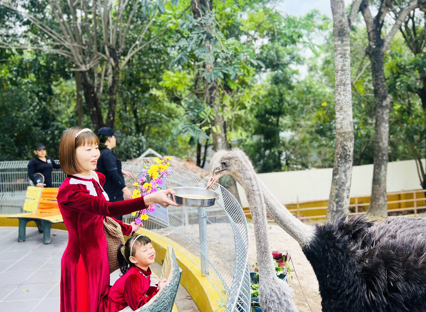 Nhiều sản phẩm du lịch trong dịp tết Quý Mão phù hợp với khách đoàn  lẫn khách lẻ (trong ảnh: Du khách vui chơi ở vườn thú mini tại khu du lịch Suối Tiên ngày 11/1/2023) - ẢNH: QUỐC THÁI