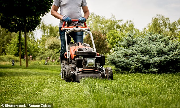 Đừng cắt cỏ vào ngày Chủ nhật ở Na Uy - Ảnh: Daily Mail 
