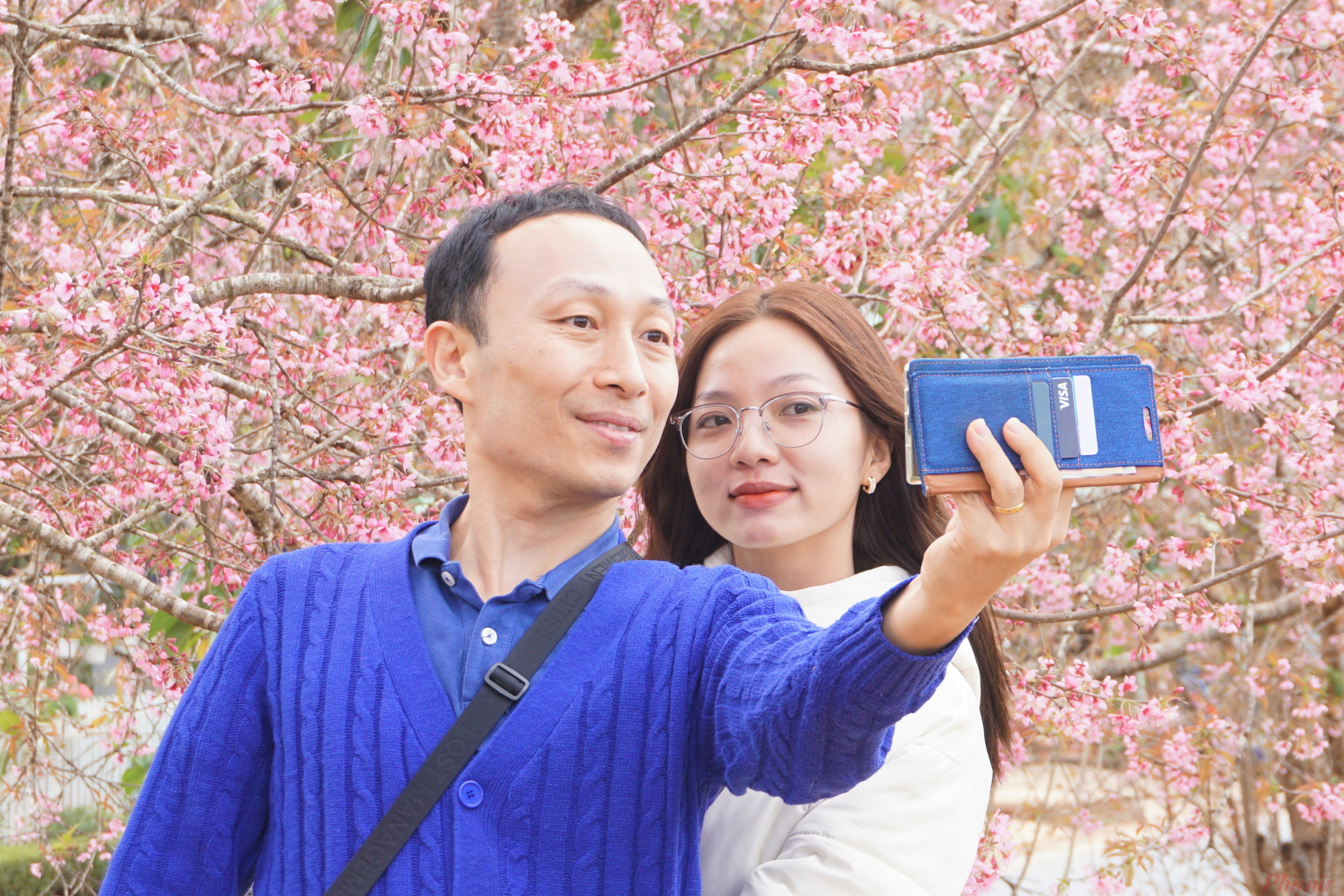 Du khách Hàn Quốc cùng bạn gái cũng không cưỡng lại súc hút trước vẻ đẹp của hoa mai anh đào.