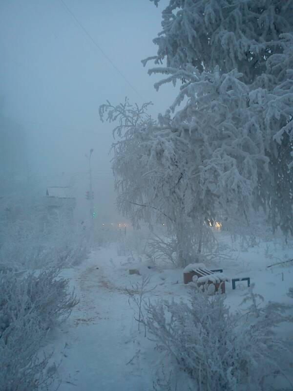 Trong mùa đông ở Yakutsk, người dân địa phương biết rằng bạn không được ra ngoài trừ khi thực sự cần thiết.