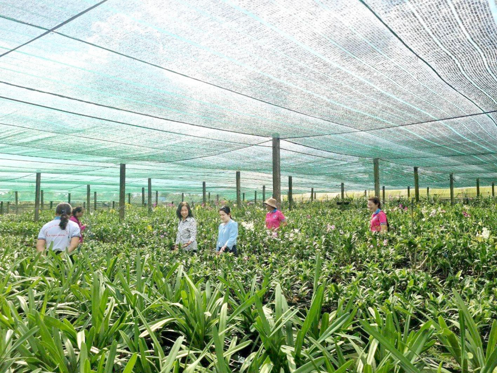 Các nữ doanh nhân huyện Bình Chánh tham quan vườn lan Sơn Hà, xã Đa Phước của chị Trần Thị Ngọc Thảo, cùng chia sẻ kinh nghiệm khởi nghiệp
