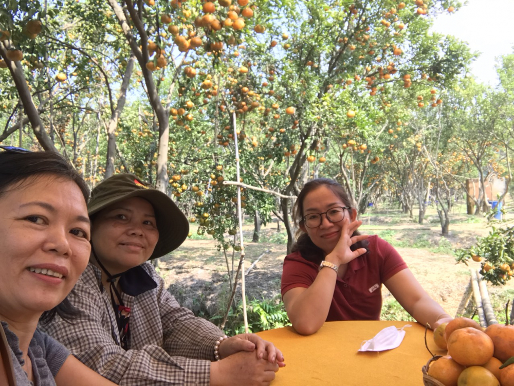 Chị Đặng Thị Kim Tuyến (bìa phải)- Chủ tịch Hội nông dân huyện Hớn Quản cho biết vườn quýt hồng Mười Trạng nhiều năm nay là một điểm du xuân của nhiều người dân Hớn Quản