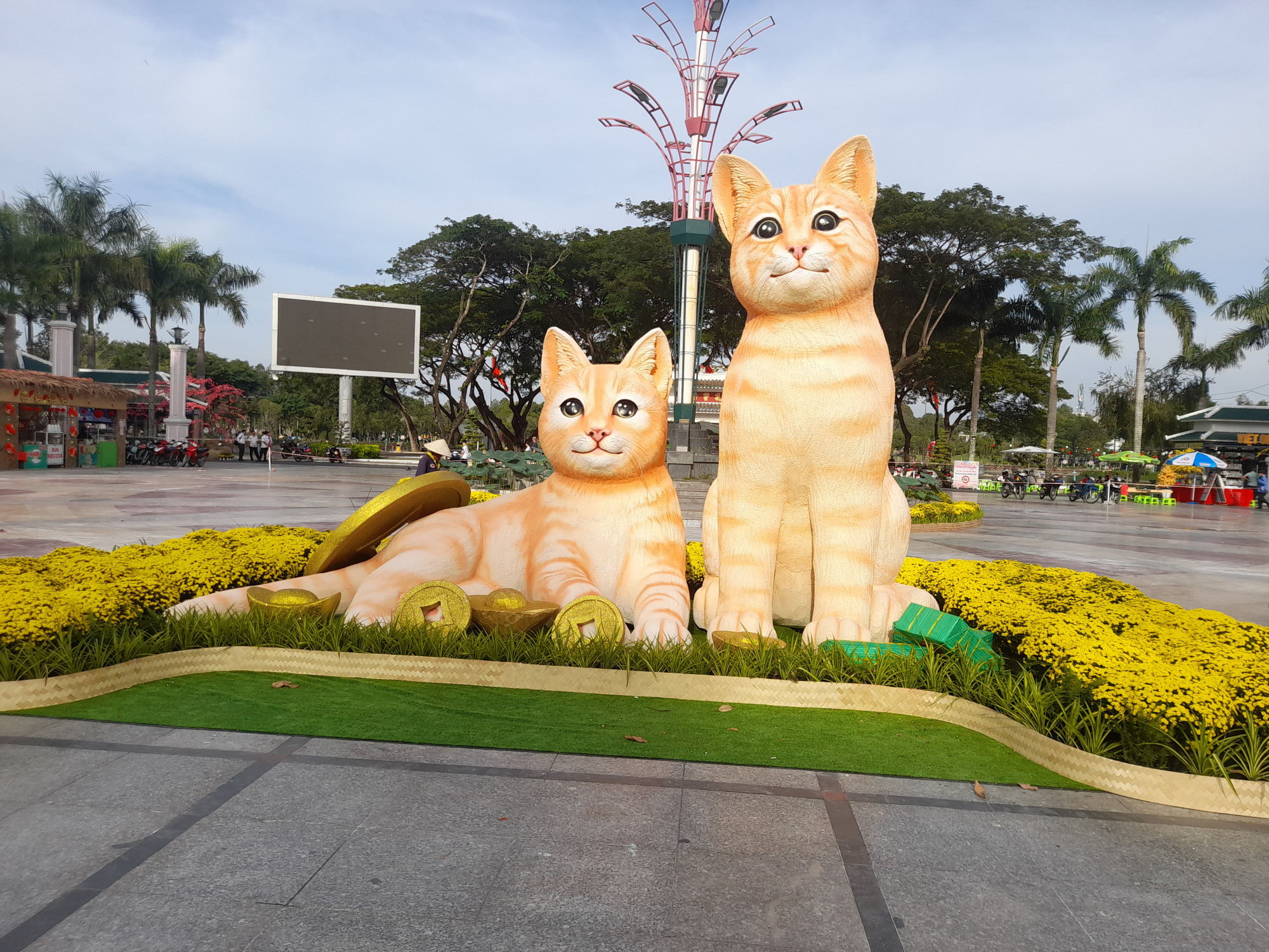 Những chú mèo dễ thương của Dồng Tháp được dân mạng bầu chọn là hoa khôi, sau mèo ở Quảng Trị