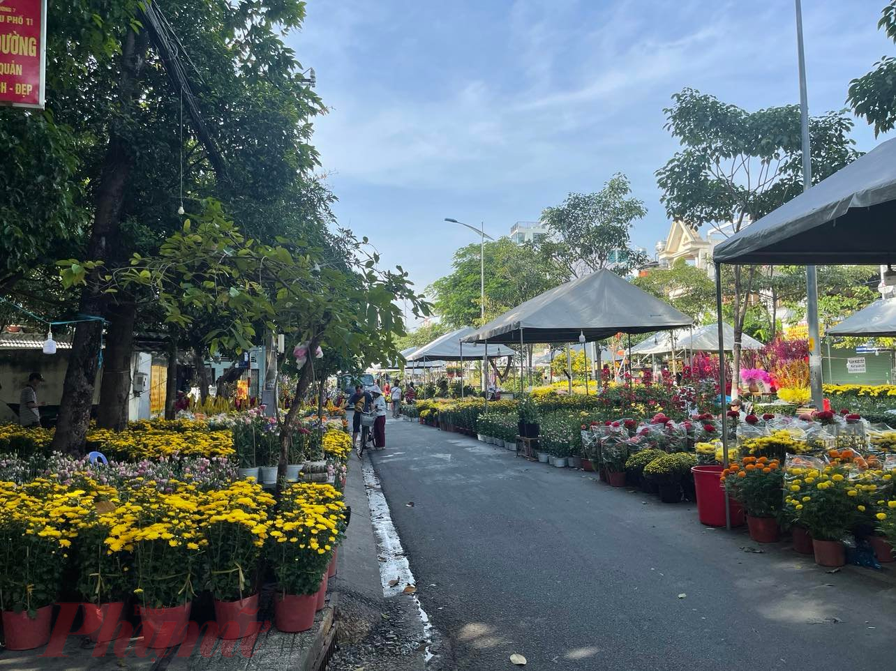 Chợ hoa sáng 29 tháng Chạp cũng vắng hoe khách - Ảnh: Nguyễn Cẩm