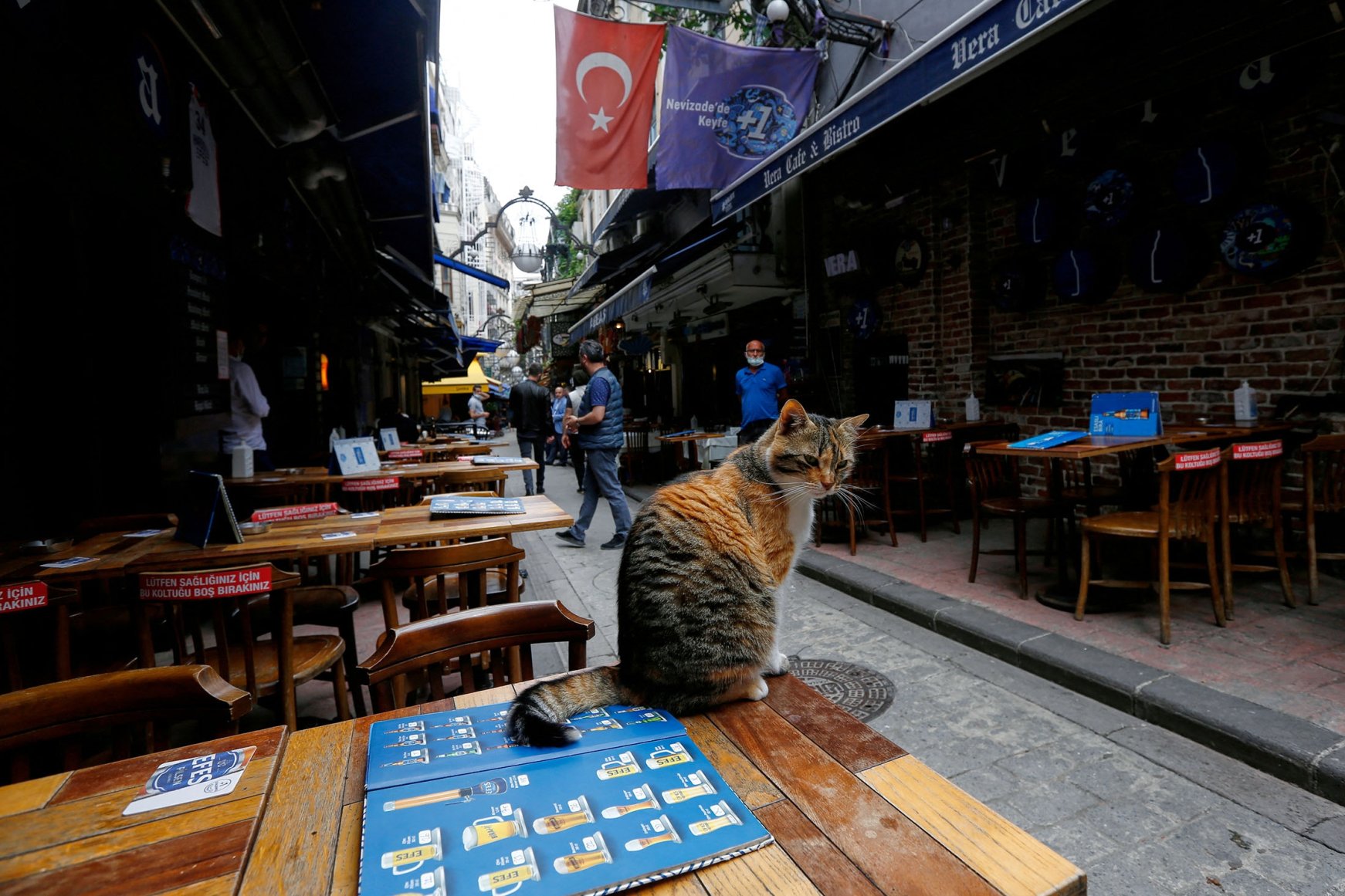 Chú mèo này đang ngồi trên chiếc bàn trống tại một quán cà phê ở Istanbul vào tháng 6/2021 khi Thổ Nhĩ Kỳ bắt đầu mở cửa trở lại sau đợt bùng phát dịch COVID-10.