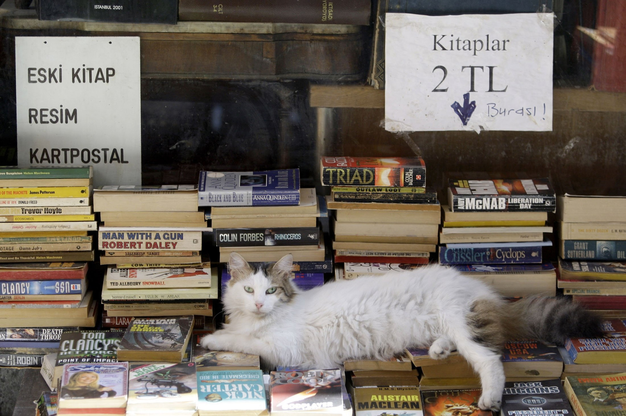 Chú mèo này đang nằm chơi trên đống sách truyện được bày bán tại một nhà sách ở Istanbul 