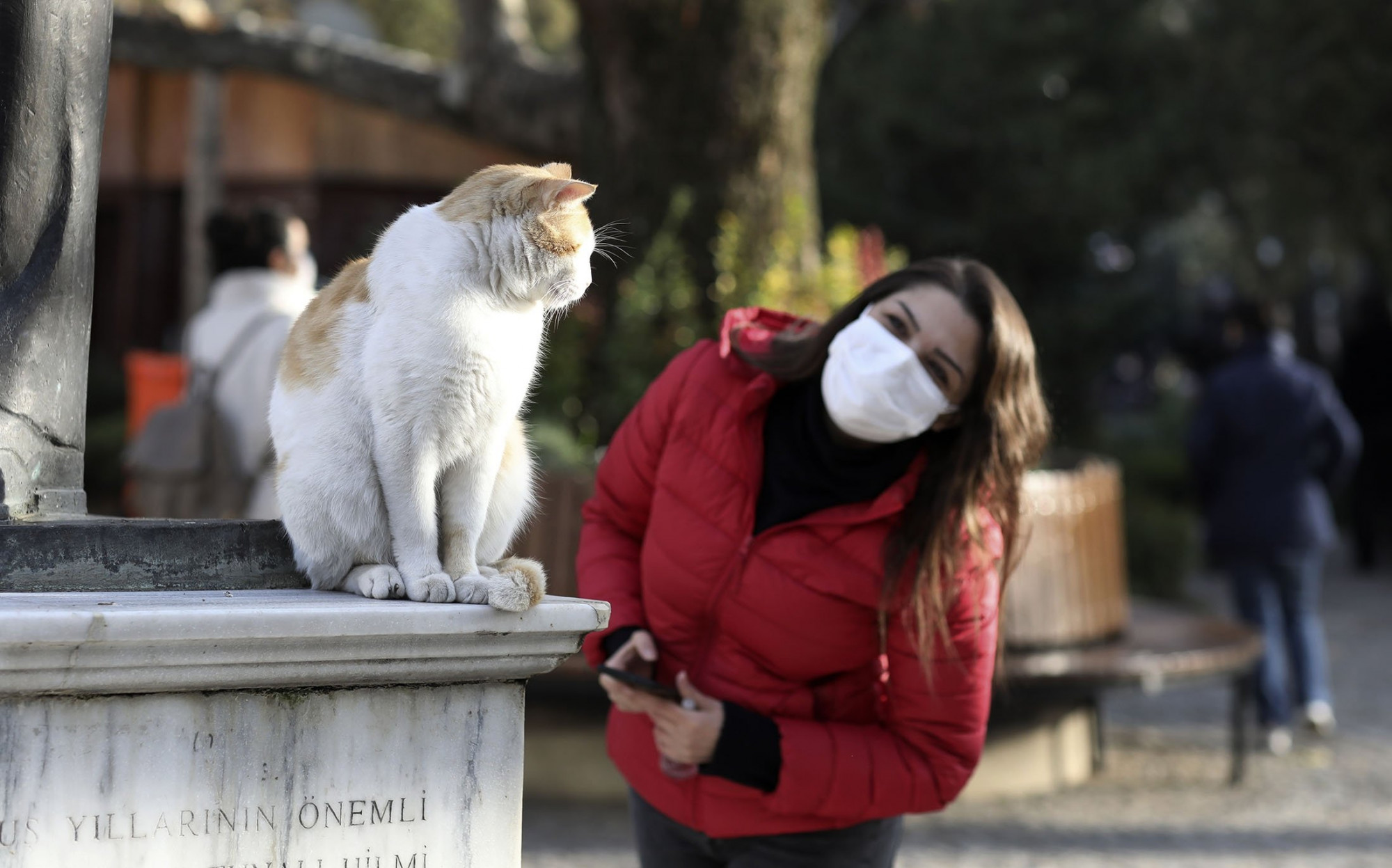 Một người phụ nữ đang tìm cách làm quen với một chú mèo bắt gặp trên đường 