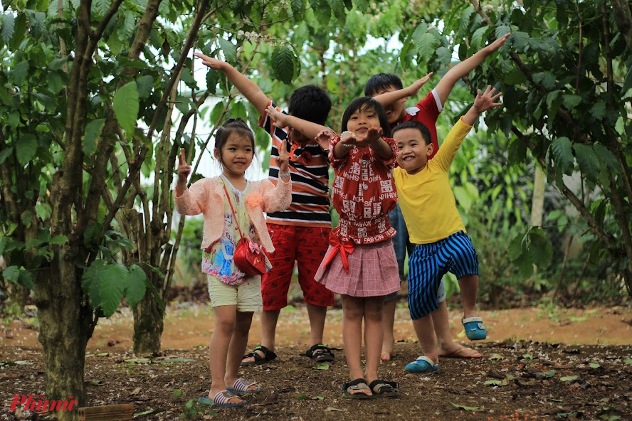 Để tận hưởng không khí mát mẻ, trong lành, nhóm bạn thân từ thời phổ thông rủ nhau đến thăm nhà bạn tại Bảo Lộc. 