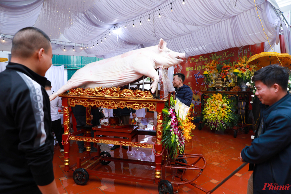 Lễ rước 'ông lợn' của người dân làng La Phù là để tưởng nhớ công ơn của Tĩnh Quốc Tam Lang dưới thời Hùng Duệ Vương thứ 6, đã có công đánh giặc gìn giữ bờ cõi. 
