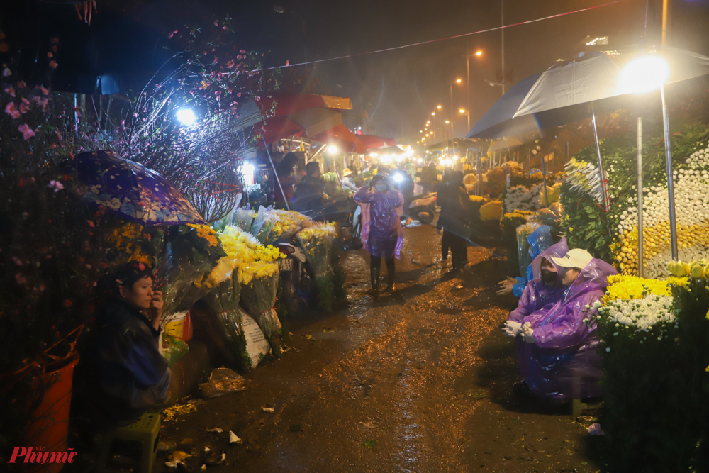Hoa cúc vàng vẫn là loại hoa chiếm lượng lớn nhất tại chợ Quảng An, ngoài ra còn có các loại hoa chơi sau Tết khác như hoa đào, hoa lê...