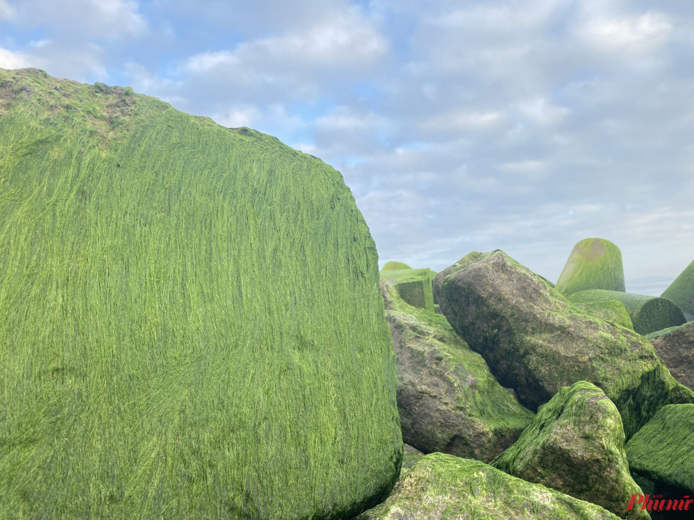 Những khối đá, bê tông phủ rêu xanh, đem lại cảm giác lạ mắt