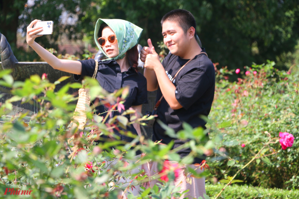 Để khôi phục một vườn hồng đẹp trướ điện Kiến Trung như hôm nay Trung tâm Bảo tồn Di tích Huế đã mất nhiều thời gian tái tạo,  tìm lại giống hoa hồng cổ Huế