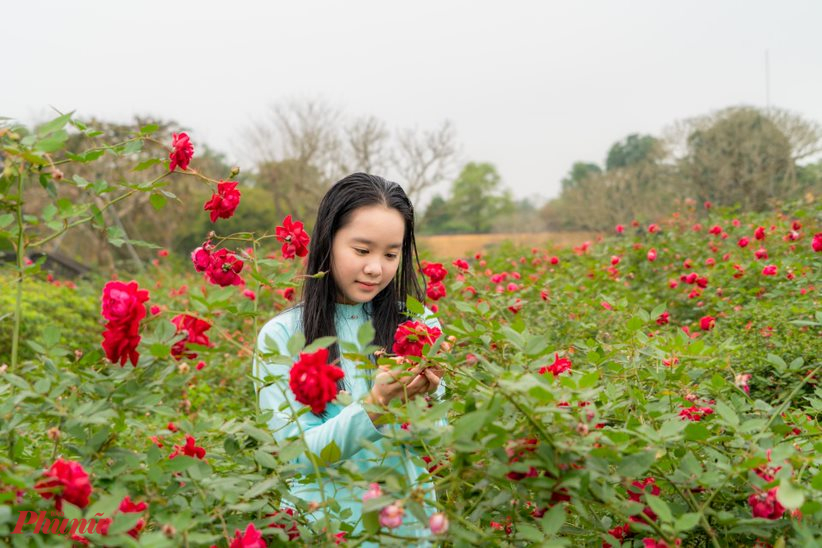 Cả một vườn hoa hồng ngát hương trước Điện Kiến Trung nguy nga, tráng lệ đang gần hoàn thiện là bãi sân rộng với bát giác đình và đài nước cổ, tất cả đều mang kiến trúc châu Âu rõ nét.